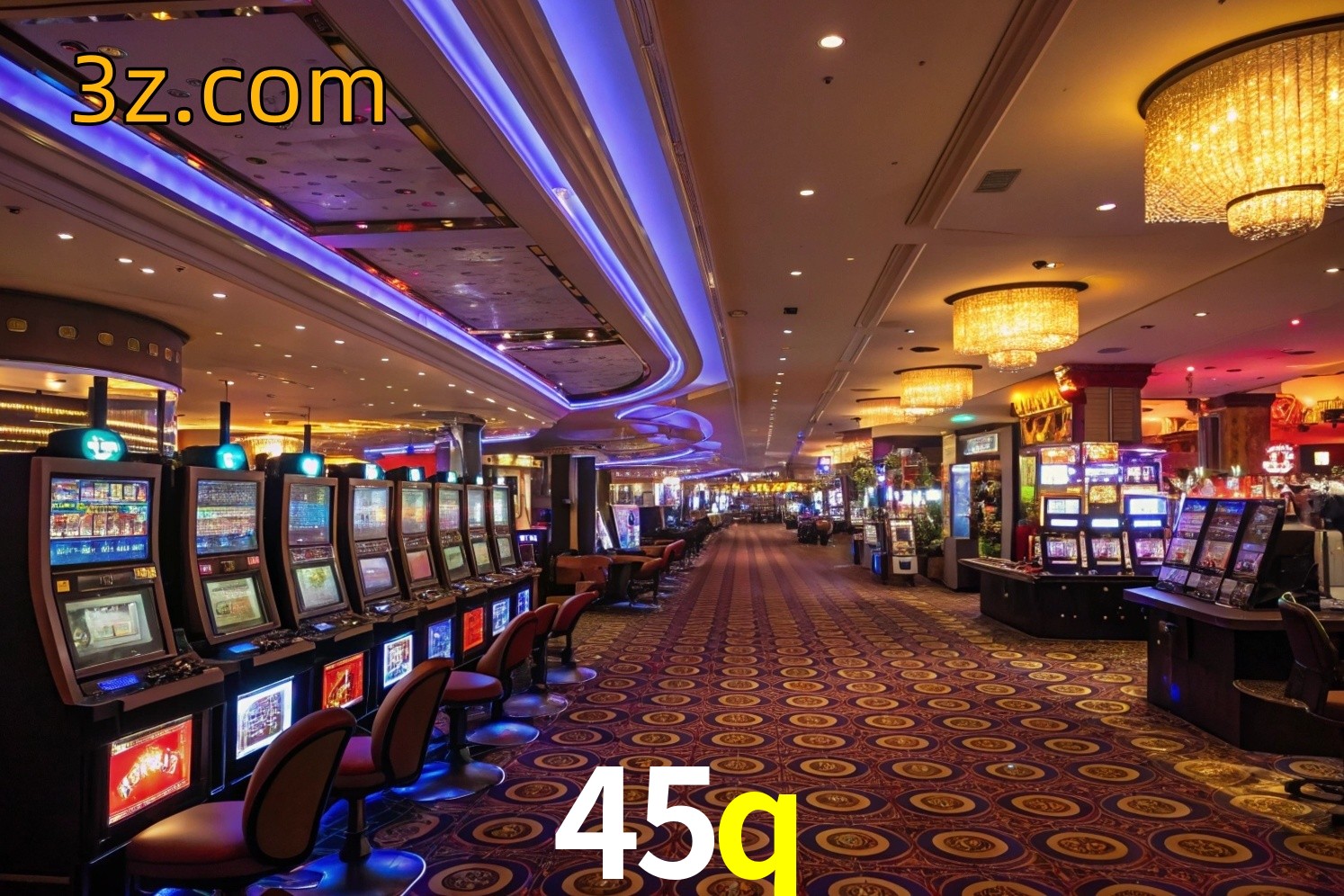 vip 45q